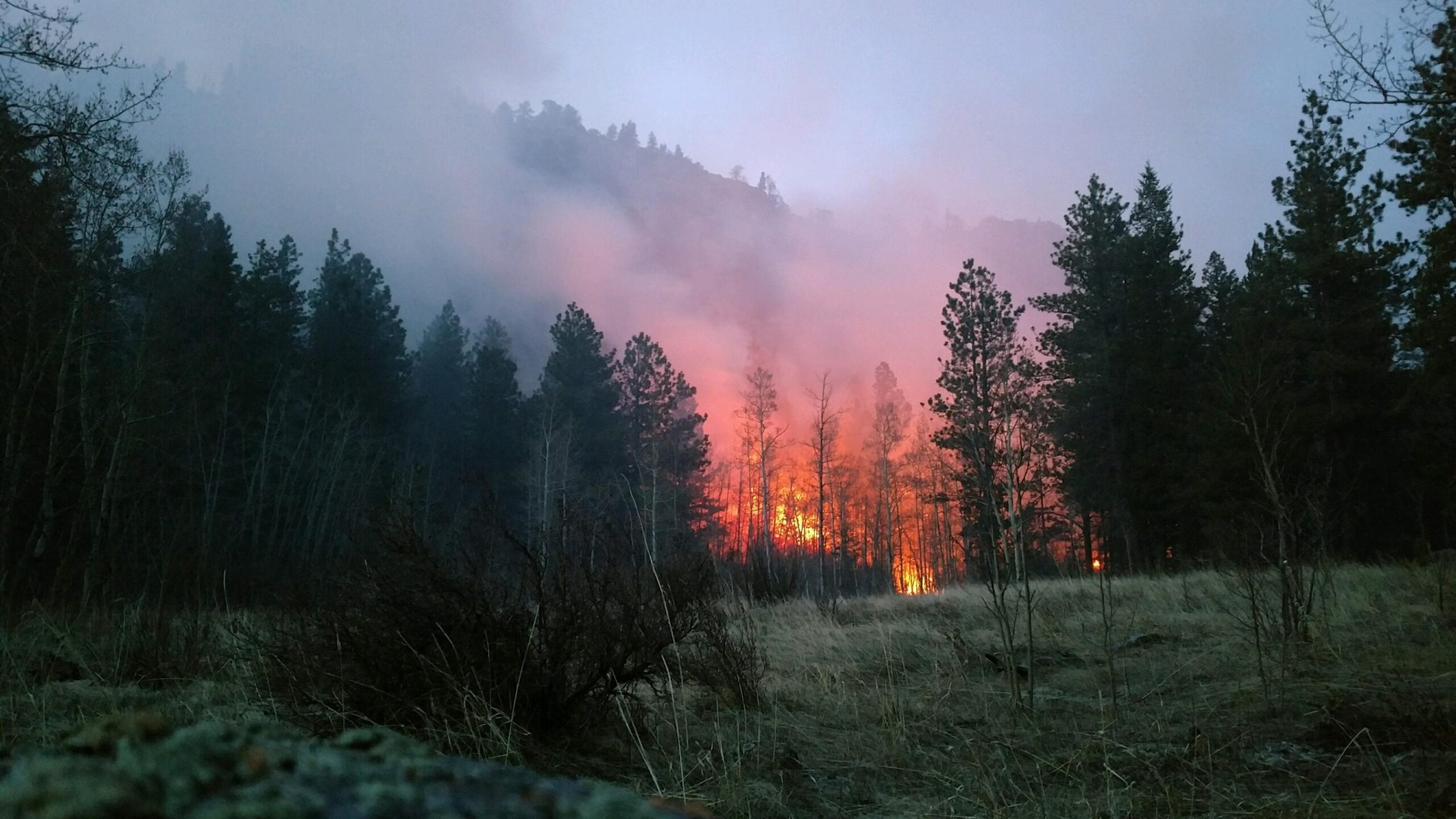 Featured Image for Red Feather Prescribed Fire