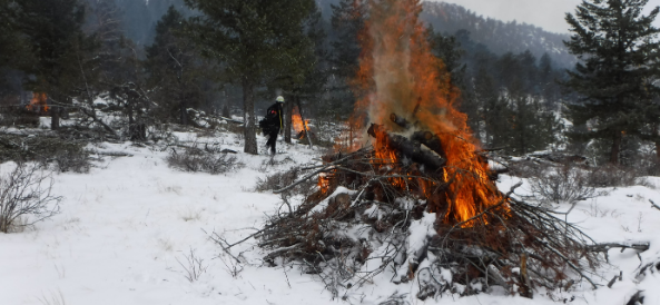 View All Slash Pile Burning Projects