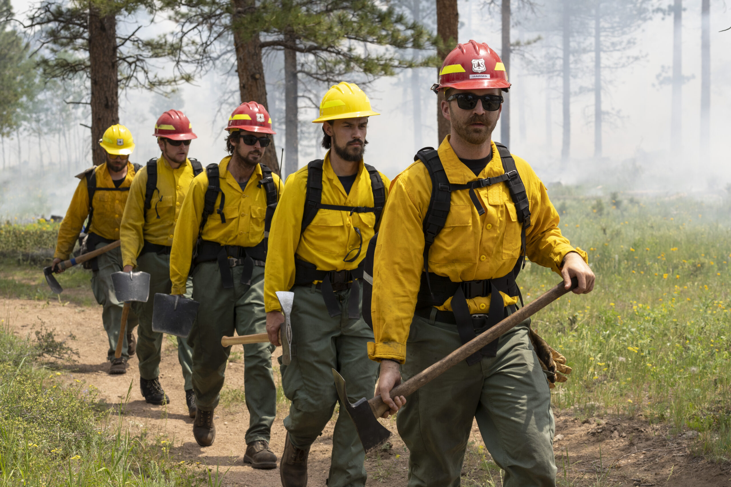 Featured Image for USDA Forest Service and Colorado Division of Fire Prevention and Control form joint wildland fire fuels module