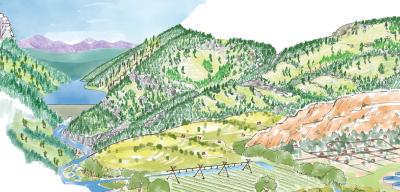 Featured Image for Draft Decision released for St. Vrain Forest Health Project
