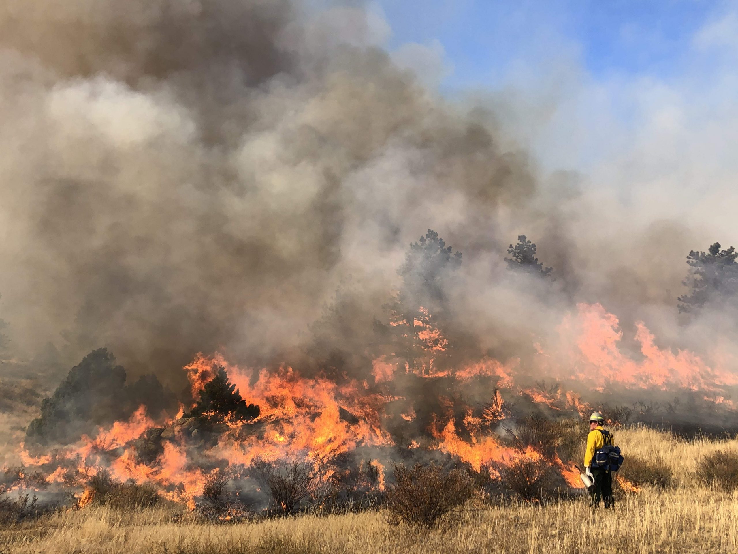 Banner Image for Prescribed Fire Liability Insurance: Unavailable, Unaffordable, And Vital