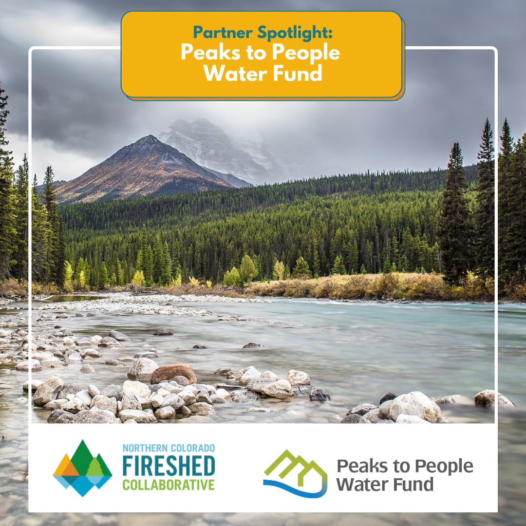 Featured Image for Fireshed Partner Spotlight: Peaks to People Water Fund