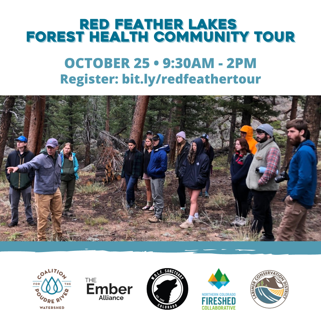 red feather forest tour_Instagram