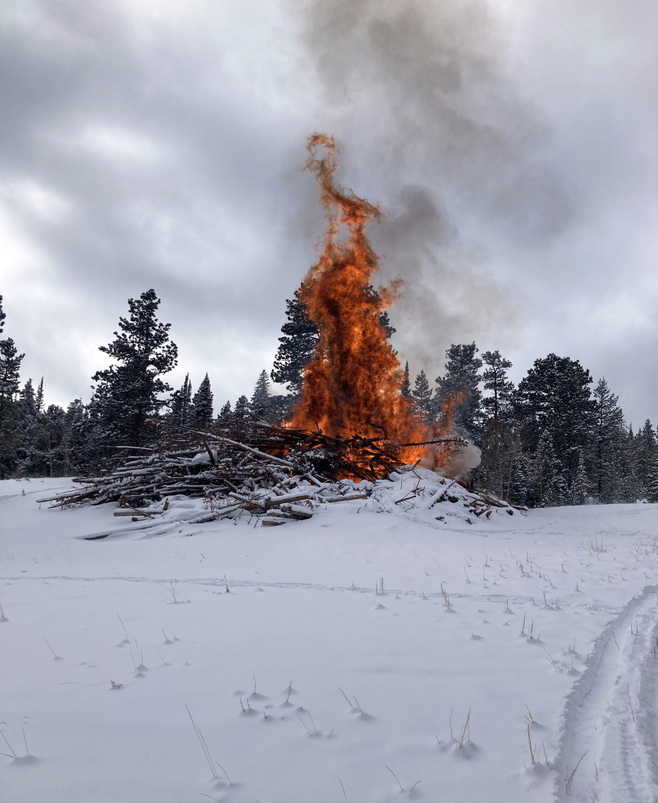 Featured Image for Pile Burning to Begin as Snow Accumulates