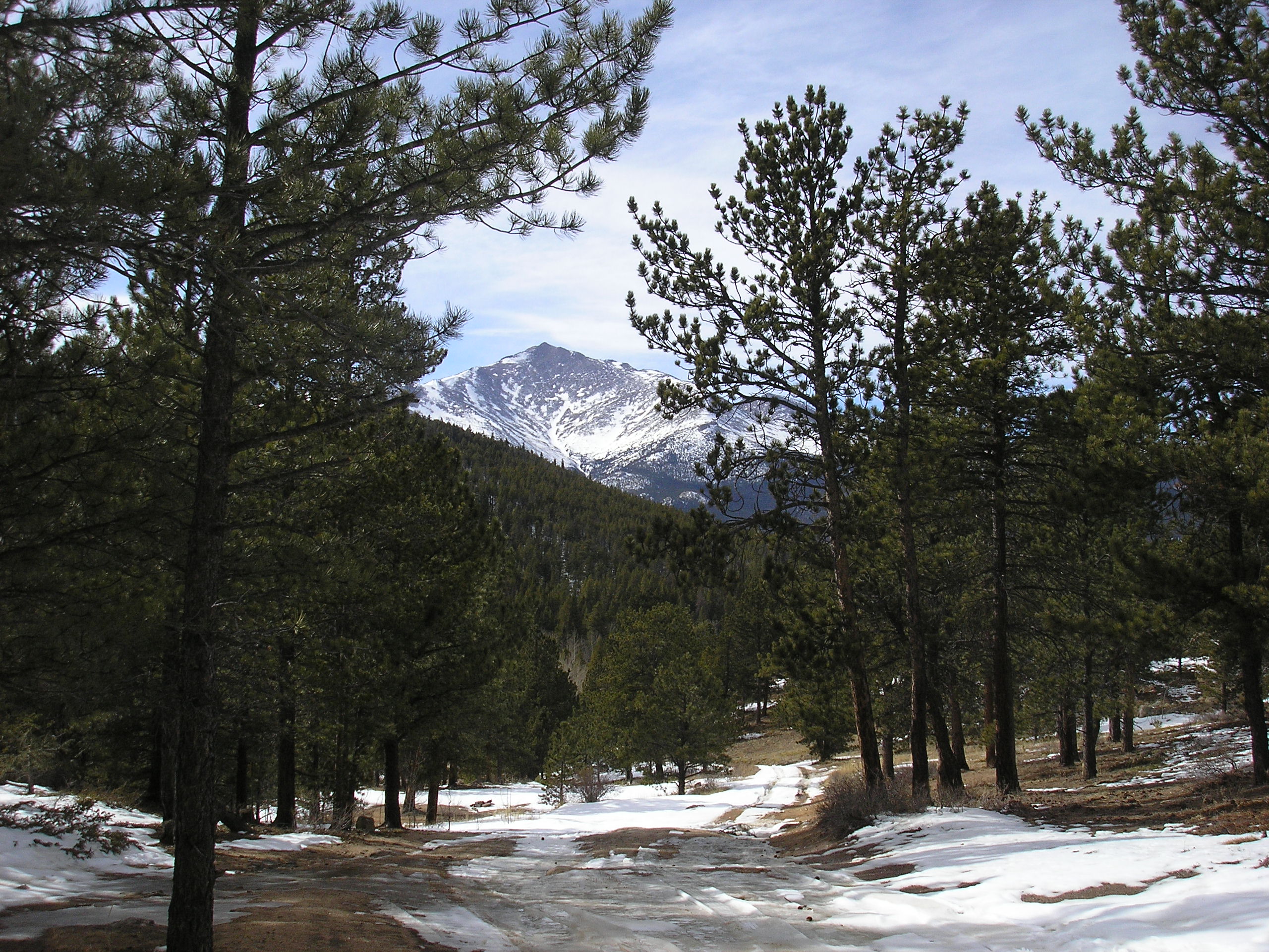 Featured Image for Forest Service Hosts Public Meetings for Pierson Park Fuel Break Project
