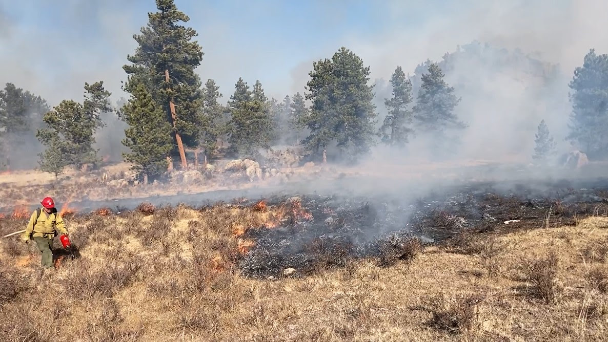 Featured Image for Magic Feather Prescribed Burn Could Begin in Coming Weeks