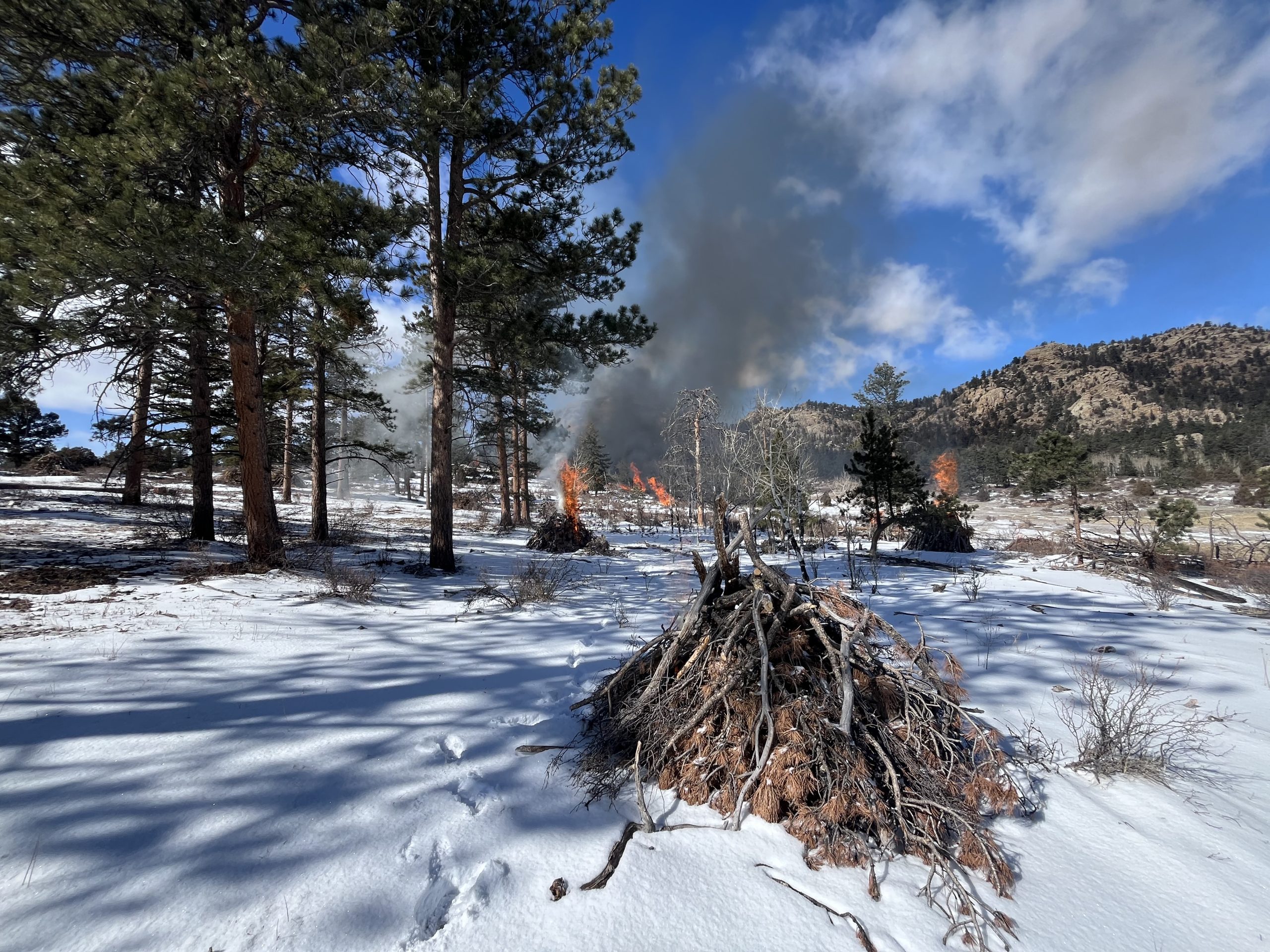 Featured Image for The Crucial Role of Pile Burning in Northern Colorado